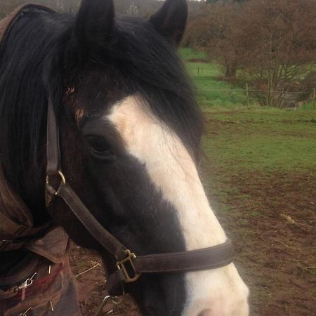Willa Mill Farm Exeter Zewnętrze zdjęcie