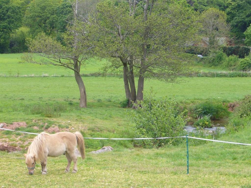 Willa Mill Farm Exeter Zewnętrze zdjęcie